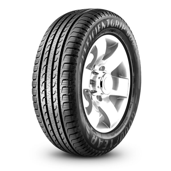 225/45R18 EFFICIENTGRIP ROF 91W