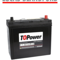BATERIA 43 AMP TOPOWER