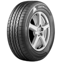 NEUM. 205/65 R15 AUTOGREEN SMART CHASER