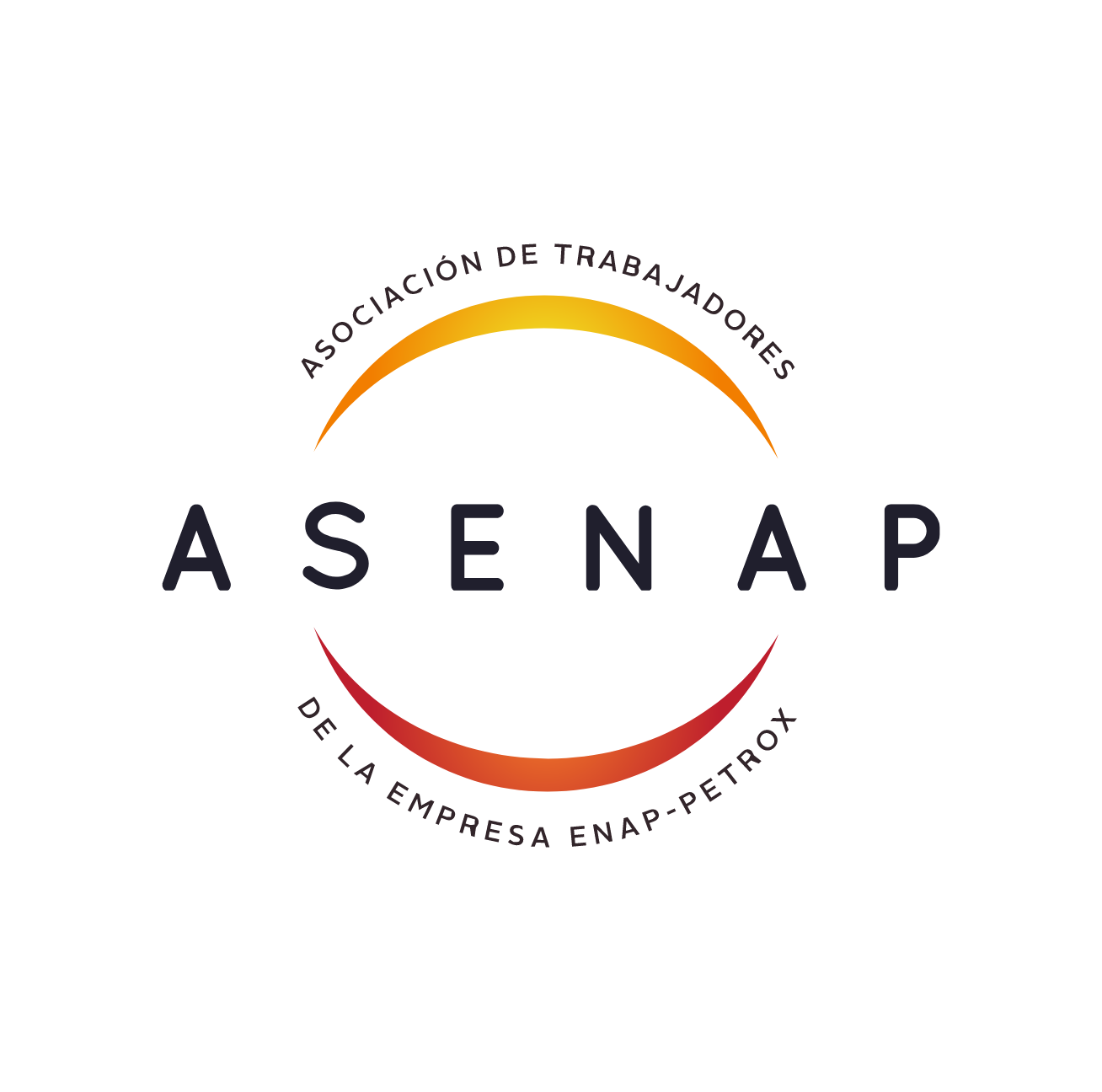 LOGO-ASENAP-CON BAJADA.pdf